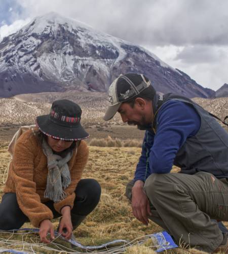 Investigacion