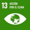 ODS 13 ODS 13